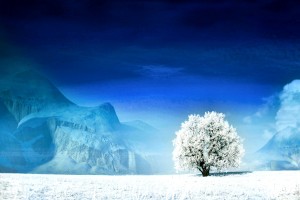 世界登山青年选拔：多名山区学员入列后备名单，国际登山比赛