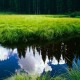 世界保龄球夜赛：光影主题吸引年轻群体观赛，再度勇夺世界保龄球冠军