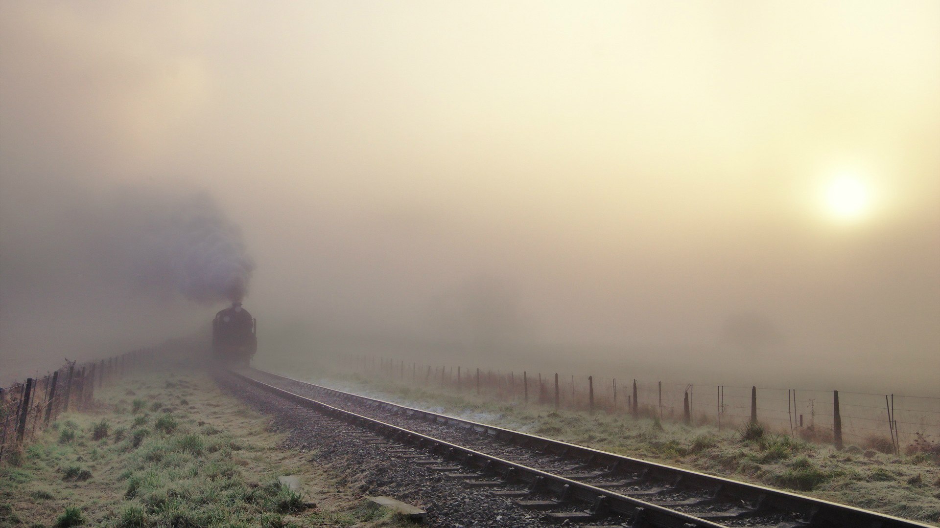 世界射击精英赛冠军夺冠风格独特,世界射击精英赛冠军夺冠风格独特吗